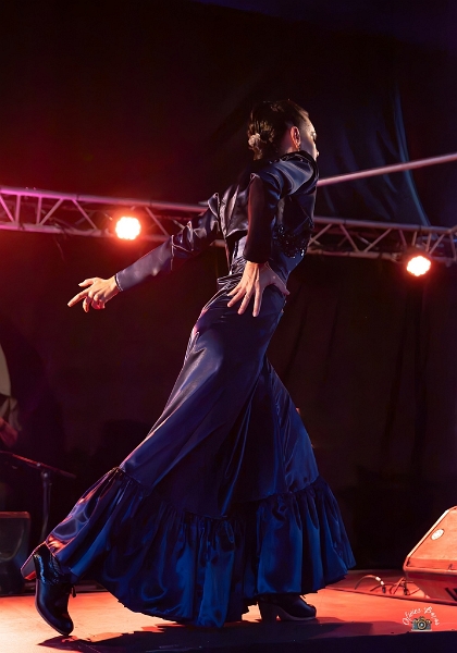 flamenco (98)